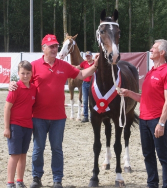 nationale tuigpaardkeuring