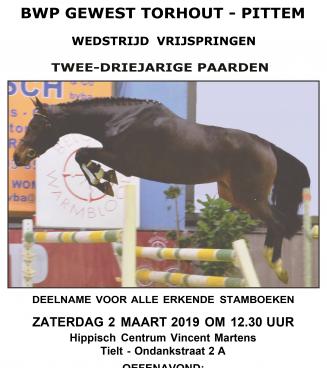 WEDSTRIJD VRIJSPRINGEN  2- en 3 JARIGE PAARDEN bij Vincent Martens te Tielt Organisatie Gewest Pittem-Torhout 