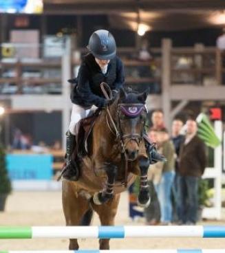 Finale wedstrijd Bestgaande Rijpony, Mechelen