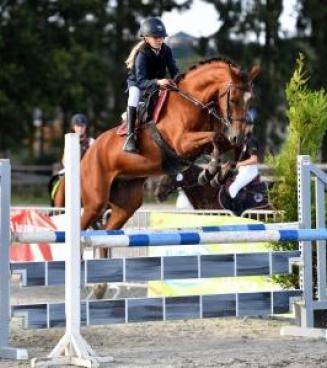 Wedstrijd Bestgaande Rijpony, Maldegem (OVL & WVL)