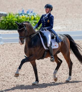 Zaterdag 19 juin 2021: Flanders Foal Championship