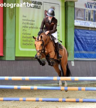 Nationale wedstrijd Bestgaande Rijpony