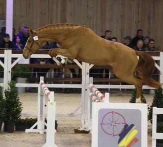 Marlon vd Heffinck maakt indruk in Leipzig