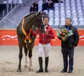 Kampioenhengsten nog eens op een rijtje