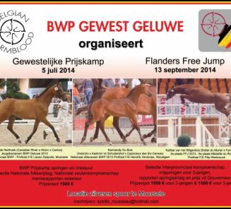 Onze organisaties Onze organisaties