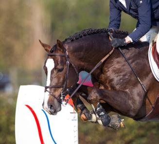 België start eerst in landenprijs België start eerst in landenprijs