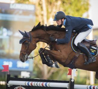 Cantinero (Chopin de Mariposa) wins GP Rome!