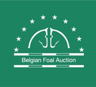 Selectie Belgian Foal Auction 6 juli 2015