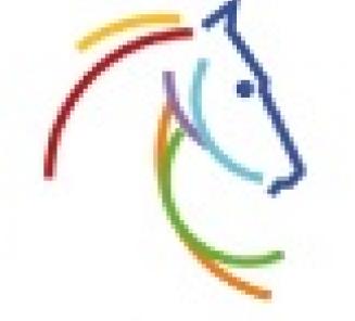 3 BWPers komen terug in de finale van het EK Jumping 3 BWPers komen terug in de finale van het EK Jumping