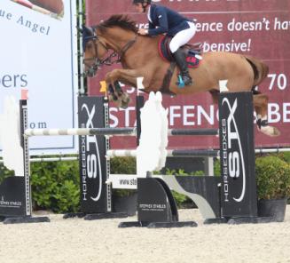 Ikker wint de finale voor jonge paarden