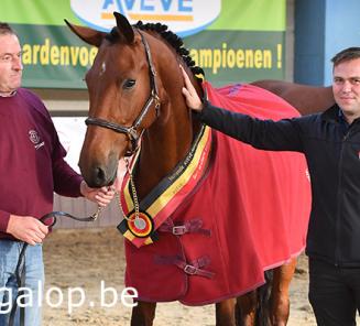 Noisette vd Ceulshaegen wint vrijspringen Fokkerijdag