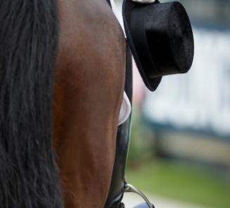 CDI 3* Le Mans: Devroe & Eres DL presteren