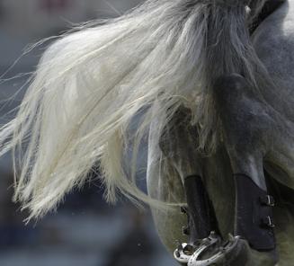 Olympia - The London International Horse Show 2016 Olympia - The London International Horse Show 2016