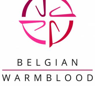 BWP komt naar u toe op Jumping Mechelen!