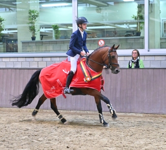 Uitslagen Bestgaande rijpony