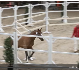 Hengstenkeuring op HippoTV