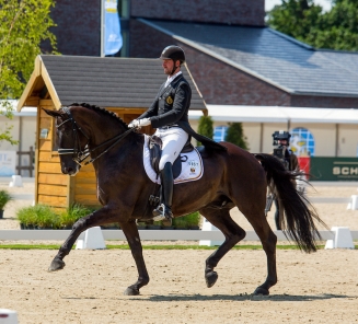 Domien Michiels en Intermezzo van het Meerdaalhof