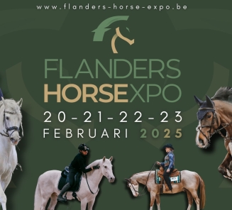 flanders horse expo