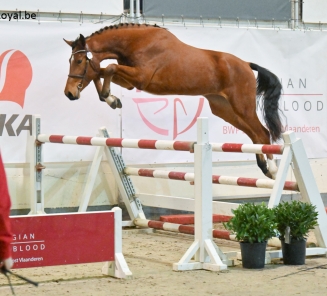 Winnaar 3j Emma De Zélande 