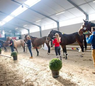 Startlijst vrijspringen Ternat staat online