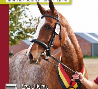Deze maand in EquiTime Deze maand in EquiTime