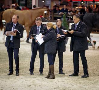 De BWP-dressuurfokkerij kiest voor meer gespecialiseerde hengstenjury