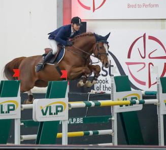 Cayenne vd Helle en Mithras de Regor maken goede start Hengstencompetitie