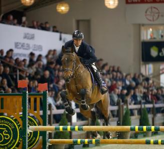 Mithras de Regor & Narengo STB winnen Hengstencompetitie Opglabbeek