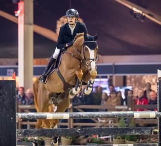 Genetische springindexen 2018  van de BWP hengsten