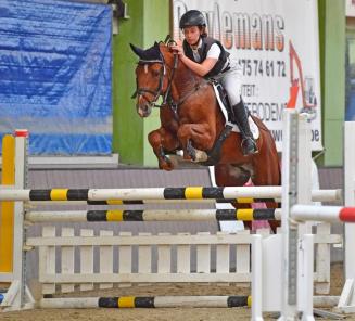 Startlijsten Bestgaande Rijpony Antwerpen