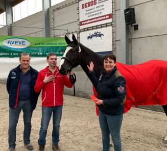  RUIME BELANGSTELLING VOOR VRIJSPRINGEN BWP PITTEM/TORHOUT