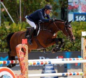 Gentleman van het Veldhof wint de Grote Prijs van Birmingham