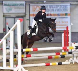 Inschrijvingen Bestgaande Rijpony & Prijskamp Oost- en West-Vlaanderen van start