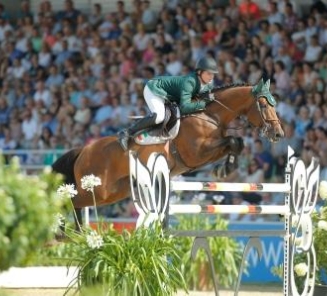 BWP Elitehengst Chaqui wint GP Wellington!