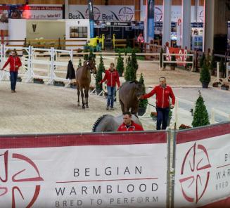 BWP Hengstenkeuring gaat door en start om 9u op donderdag 12 maart