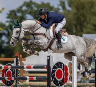 BWP-elitehengst El Torreo de Muze wint GP Bourg en Bresse!