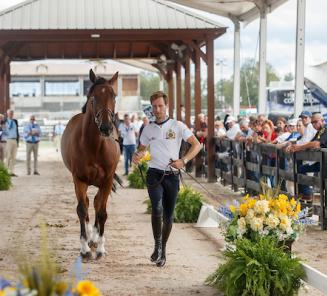 BWPers aan de start op de Wereldruiterspelen Jumping