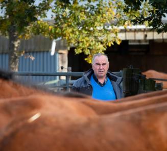 Paard in de kijker: Kaprice van t Roosakker