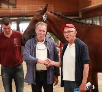 Inschrijvingen Prijskamp & Flanders Open Foal Championship BWP Leiestreek open