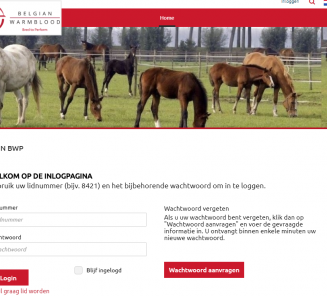 Mijn BWP en vlugge veulenmelding volledig vernieuwd! Mijn BWP en vlugge veulenmelding volledig vernieuwd!