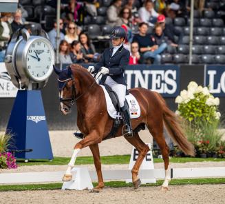 Dressuurcommissie van de KBRSF kiest voor Belgische paarden